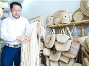 Máy tách sợi chuối: Đánh thức tiềm năng một loài cây quen thuộc